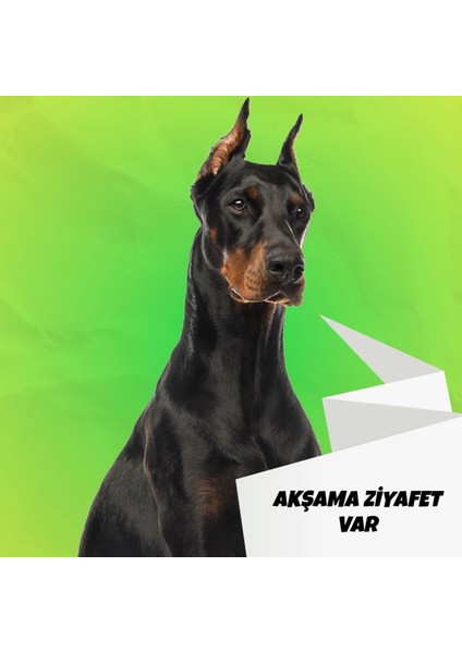 Mix Barf 20 kg Aç Bitir Paket Köpek Maması