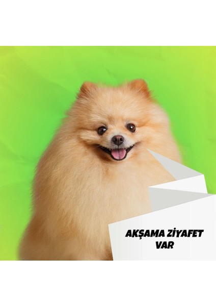 Mix Barf 6 kg Salam Paket Köpek Maması