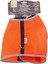 Cattie Havalı Dokuma Kedi Göğüs ve Gezdirme Takımı Large Turuncu 1.5X30-40 cm 1