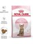 Royal Canin Kitten Sterilised Yavru Kısırlaştırılmış Kedi Maması 2 kg 2