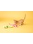Tailchaser Kedi Otlu Kuyruklu Peluş Kedi Oyuncağı 4