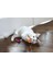 Springy Worms Kedi Otlu 2'li Peluş Kedi Oyuncağı 5