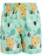 Deniz Şortu Aslan Erkek Çocuk Bebek Remsa Mayo Marlın 3 S105 Mint 1