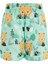Deniz Şortu Aslan Erkek Çocuk Bebek Remsa Mayo Marlın 3 S105 Mint 2