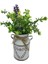 Rustik Metal Çiçek Vazo Çiftlik Evi Eski Shabby Chic Galvanizli Kutu (Yurt Dışından) 4