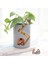 Hayvan Reçine Saksı Succulents Ekici Tavşan Dekoratif Saksı (Yurt Dışından) 2