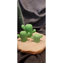 Selins Art Candle Kaktüs Mum Set
