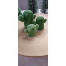 Selins Art Candle Kaktüs Mum Set