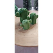 Selins Art Candle Kaktüs Mum Set