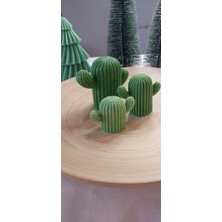 Selins Art Candle Kaktüs Mum Set