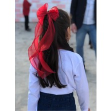 Floriaco Uzun Kuyruklu Fiyonk Toka Organze Kırmızı Kuyruklu Toka Kuyruklu Kurdele Toka Yılbaşı Tokası Gösteri Tokası