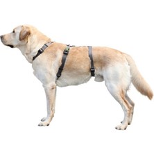 Kerbl Köpek Sırt Tasması Kaçış Önleyici  38CM - 52CM