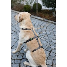 Kerbl Köpek Sırt Tasması Kaçış Önleyici  38CM - 52CM