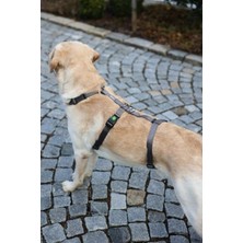 Kerbl Köpek Sırt Tasması Kaçış Önleyici  38CM - 52CM