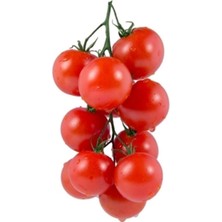 Serada Decor Plant Erkenci Beşdeli Salkım Domates Tohumu 10 Adet Tohum