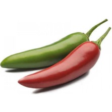 Serada Decor Plant Eko Paket 50 Adet Tohum Nadir Ithal Acı Jalapeno Meksika Biberi Tohumu