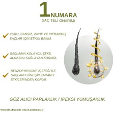 SALLY Şampuan Zeytin Özü Hacimsiz Yağlı Saçlar Olive - 1 LT