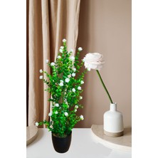 Cennet Home Mineli Şimşir Ağacı 50 cm Canlı Renkli Yapay Çiçek Siyah Plastik Saksıda