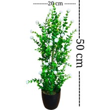 Cennet Home Mineli Şimşir Ağacı 50 cm Canlı Renkli Yapay Çiçek Siyah Plastik Saksıda
