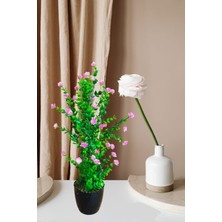 Cennet Home Mineli Şimşir Ağacı 50 cm Canlı Renkli Yapay Çiçek Siyah Plastik Saksıda