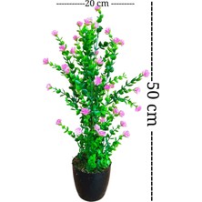 Cennet Home Mineli Şimşir Ağacı 50 cm Canlı Renkli Yapay Çiçek Siyah Plastik Saksıda