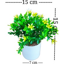 Cennet Home Çiçekli Fesleğen Masaüstü Dekoratif Yapay Çiçek 4 Lü Set Beyaz Mor Lila Sarı
