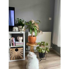 Kimahome Vazo Mantar Sehpa 43 cm