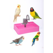 Happy Wings Pet Market Kuş Banyosu