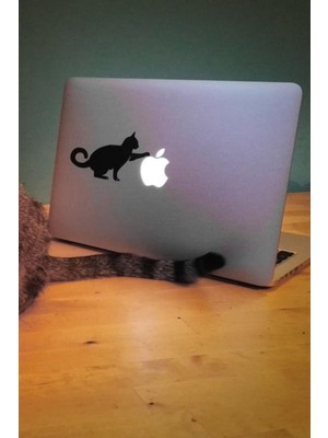 Hellove Kedi Stickerı Laptop Etiketi Laptop Üzerine Kedi Sticker