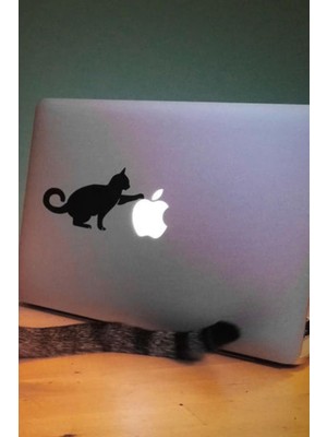 Hellove Kedi Stickerı Laptop Etiketi Laptop Üzerine Kedi Sticker