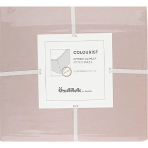 Colourist Tek Kişilik Lastikli Fitted Çarşaf 100X200+30
