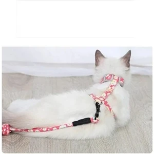 Kedi Gezdirme Göğüs Tasması