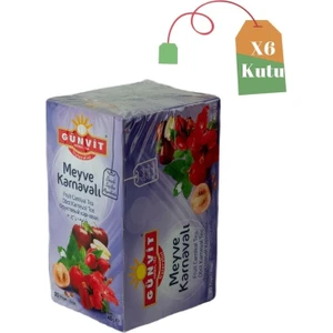 Meyve Karnavalı Çayı Bardak Süzen Poşet 20'li Kutu x 6