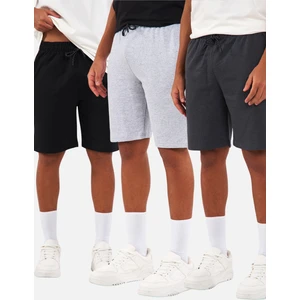 Regular Fit Yanları Cepli Rahat Kesim 3'lü Erkek Şort