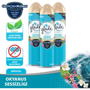 Aerosol Oda Kokusu Okyanus Sessizliği 3'lü Set