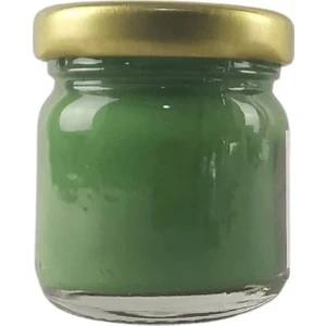 Seramik ve Çini Boya 40GR 8832 Çimen Yeşili