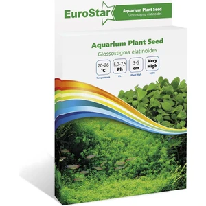 Eurostar Akvaryum Bitki Tohumu Glossostigma Elatinoides