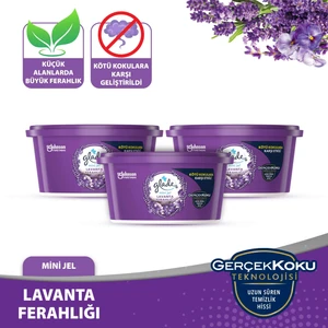 Mini Jel Oda Kokusu Lavanta 3 'lü Set