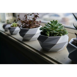 Dekoratif Mini Saksı