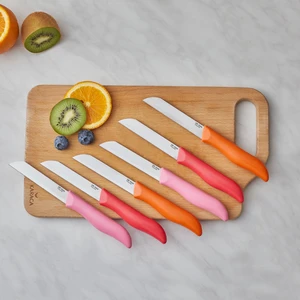 x Dr.Inox Sunberry 6'lı Sebze ve Meyve Bıçağı