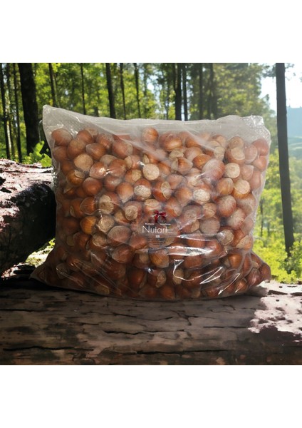 Kabuklu Fındık 1kg fiyatları