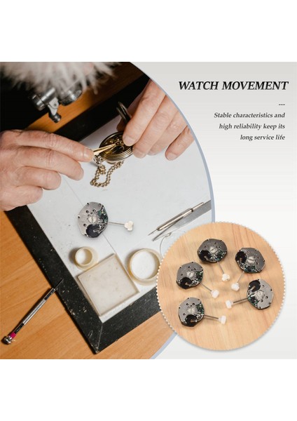 Adet SL68 Kuvars Saat Hareketi Değişimi (Yurt Dışından)