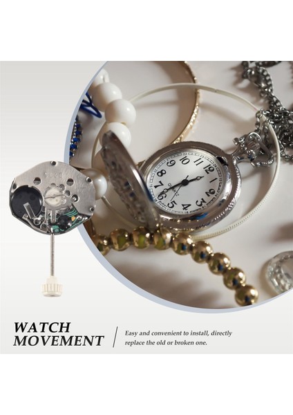 Adet SL68 Kuvars Saat Hareketi Değişimi (Yurt Dışından) modelleri