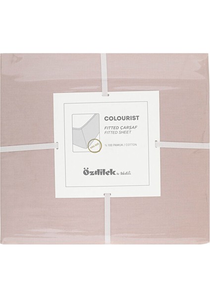 Colourist Tek Kişilik Lastikli Fitted Çarşaf 100X200+30