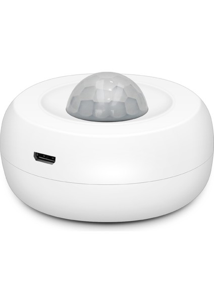 Zigbee Pır Hareket Sensörü - Akıllı Wifi Sensör