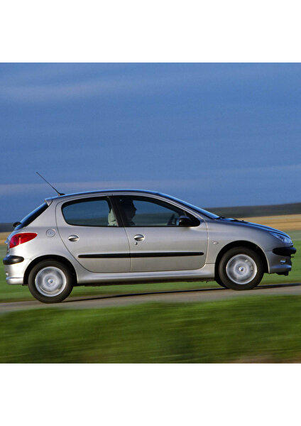 Peugeot 206 Hb 1998-2010 Arka Bagaj Amortisörü Pistonu 8731.E6