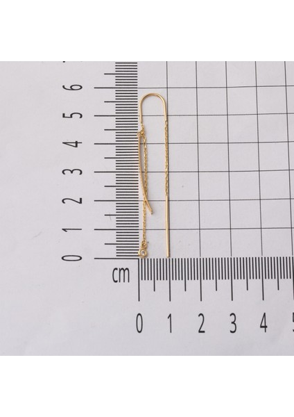 14 Ayar Altın Plaka Zincir Sallantılı Küpe fırsatları
