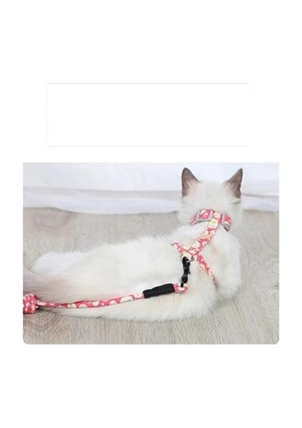 Kedi Gezdirme Göğüs Tasması