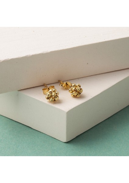 14 Ayar Dorika Toplu Sarı Altın Küpe modelleri