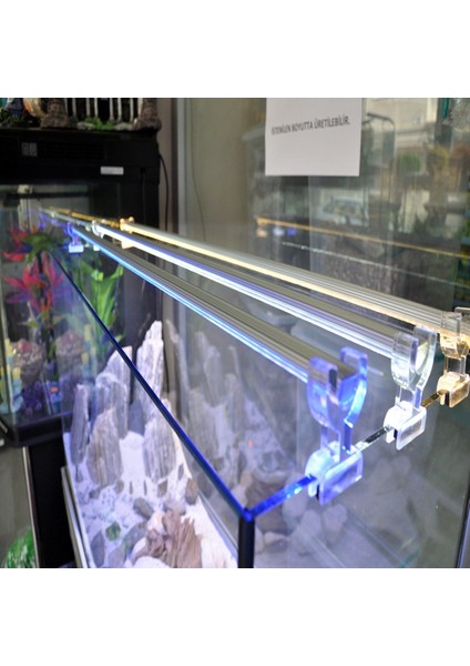 Orıon LED 30 cm - Mavi Beyaz